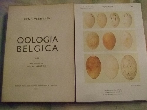 Oologia belgica. Texte revu et complt par Rudolf Verheyen.