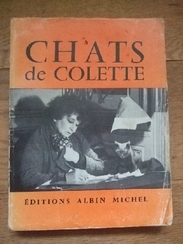 Chats de Colette.